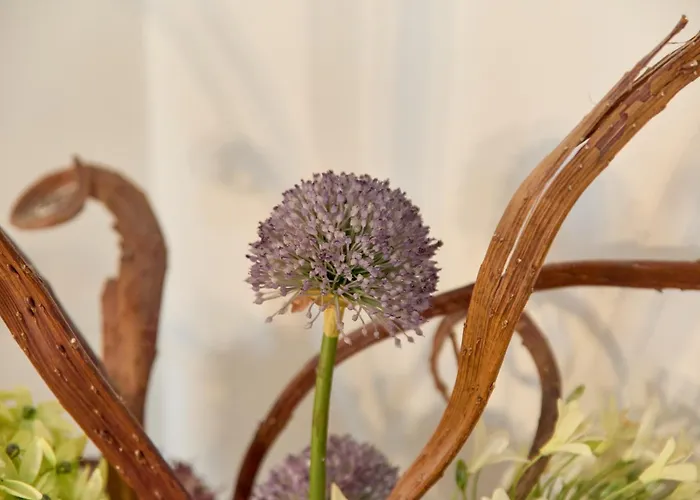 アパート Altstadt Residenz *