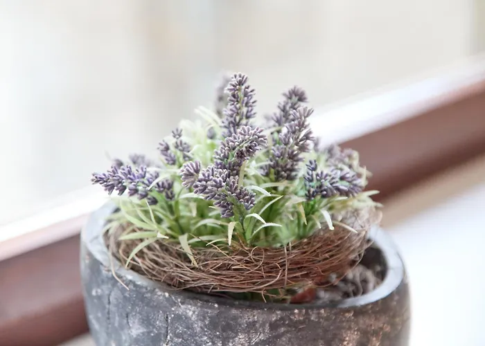 Altstadt Residenz Bernkastel-Kues